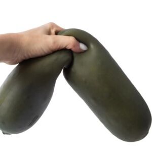 Smushmart Pickle squish NWT